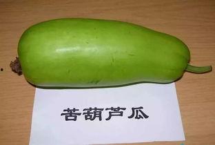 孕晚期吃葫芦瓜,营养美味，助力母婴健康