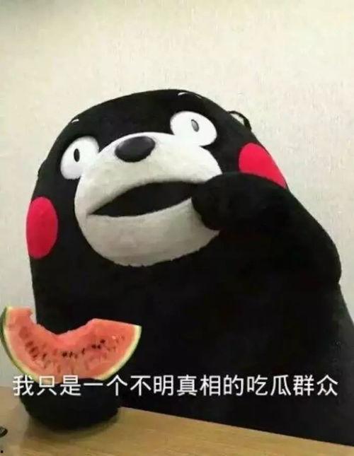 熊本熊 吃瓜 原图,萌态尽显！