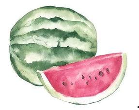 吃瓜fg,FG现象深度解析