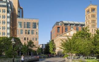 纽约大学吃瓜,揭秘“吃瓜”背后的故事