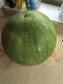 从前吃瓜和现在吃瓜的说说,吃瓜群众的变迁与心声