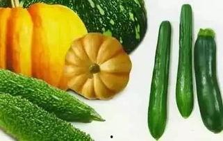 杨总吃瓜,揭秘娱乐圈幕后风云