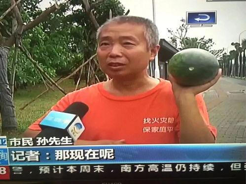 社会热门吃瓜事件,XX事件背后的真相与争议