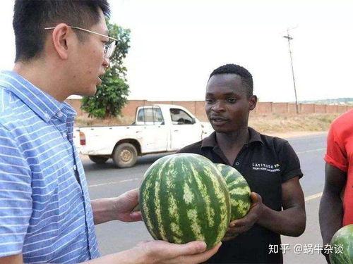 台湾吃瓜网友,揭秘岛内美食背后的那些事儿