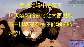 呆瓜吃鸡日记,趣味横生的绝地求生之旅