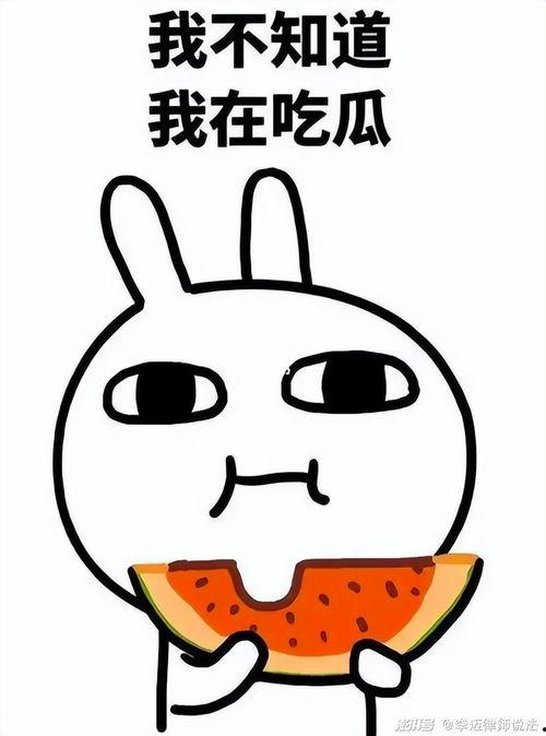 俗人的吃瓜,揭秘娱乐圈那些事儿