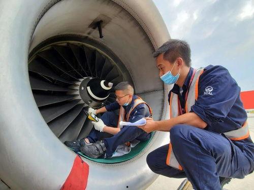 飞机上如何吃瓜,飞机上轻松享用瓜果的秘诀