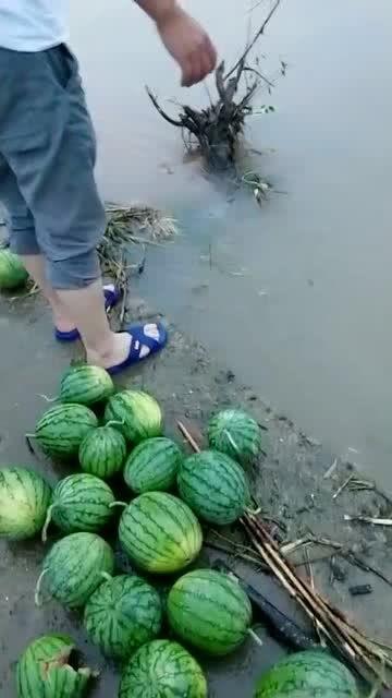 晚餐河边吃瓜,瓜香四溢的晚餐时光