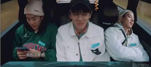 武艺吃瓜是什么综艺,揭秘明星幕后趣事，综艺新秀展现真实魅力