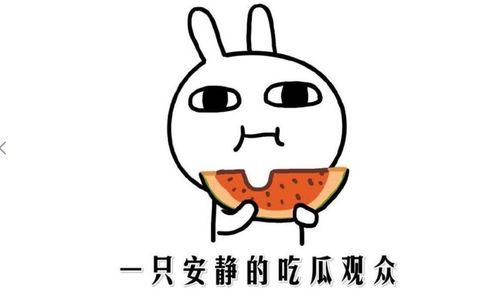 抖音吃瓜会,揭秘热门事件背后的真相与笑料