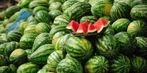 蚌埠中学吃瓜,吃瓜群众眼中的校园生活