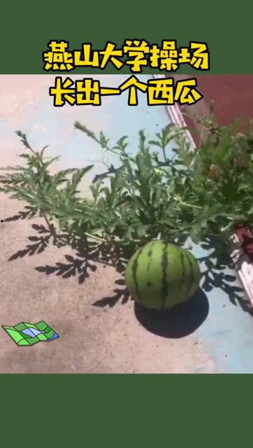 吃瓜 操场,吃瓜群众在操场的欢乐时光