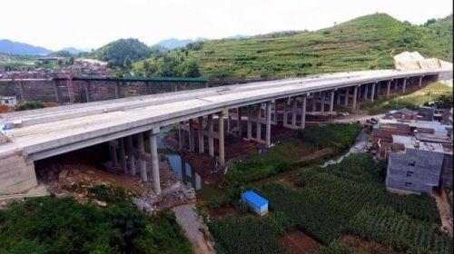 毛林大桥吃瓜,揭秘背后真相与网络舆论风暴