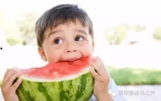 兄妹偷吃日记吃瓜,揭秘家庭甜蜜背后的“秘密瓜”