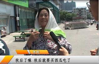 何秋事吃瓜全程,揭秘娱乐圈幕后真相