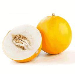 桥中吃瓜,探寻桥中吃瓜的趣味时光