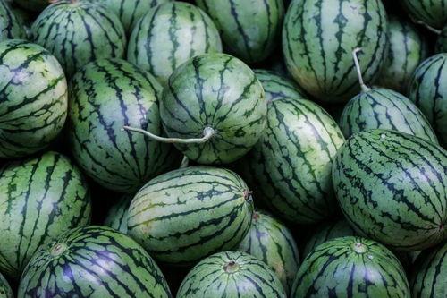 吃带颜色的瓜,尽享瓜果盛宴