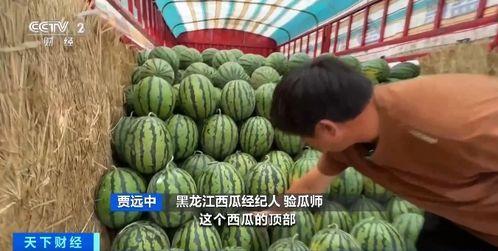 墨尔本吃瓜sule,揭秘这座城市的独特美食文化