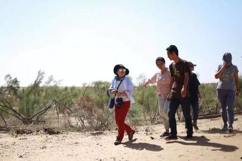 农村吃瓜的情景,瓜香四溢的欢乐时光