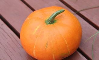 吃库瓜的功效,天然养生佳品，全面呵护健康之道”