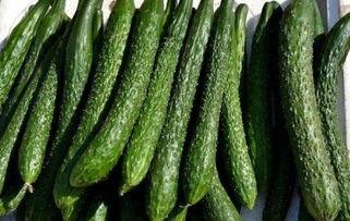 吃瓜影响减肥吗,揭秘瓜类食物的神奇瘦身效果