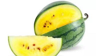 瓜都从哪里吃,探寻瓜都的食用奥秘