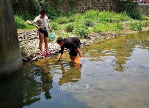 农村小溪捕鱼吃瓜,捕鱼品瓜，悠然自得乡村生活