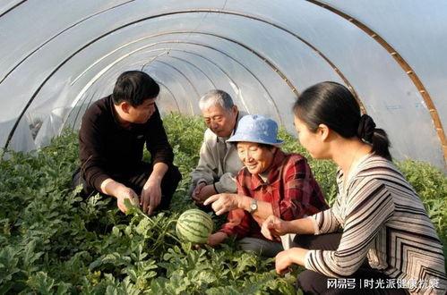 吃瓜邱海,网络红人的崛起与争议